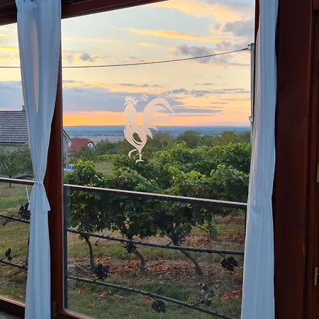 Vinarstvo U Kohuta * Скалица