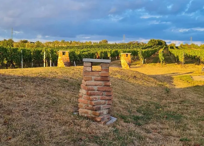 Vinarstvo U Kohuta סקליצה