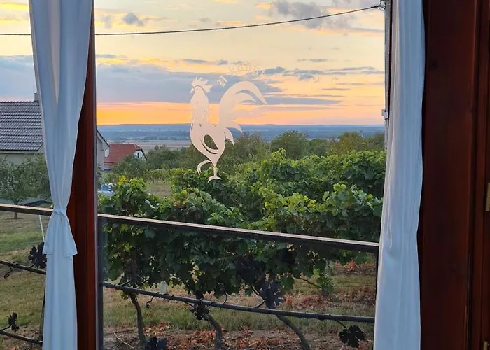 Vinarstvo U Kohuta * סקליצה