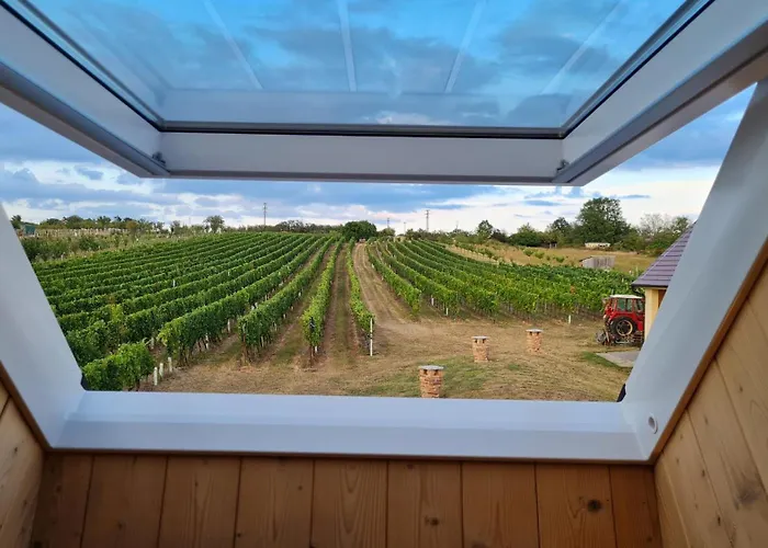 בית נופש Vinarstvo U Kohuta