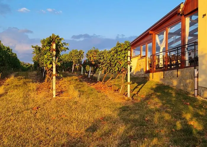 בית נופש Vinarstvo U Kohuta